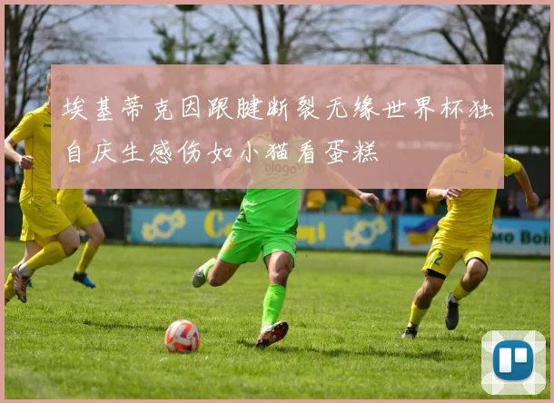 埃基蒂克因跟腱断裂无缘世界杯独自庆生感伤如小猫看蛋糕