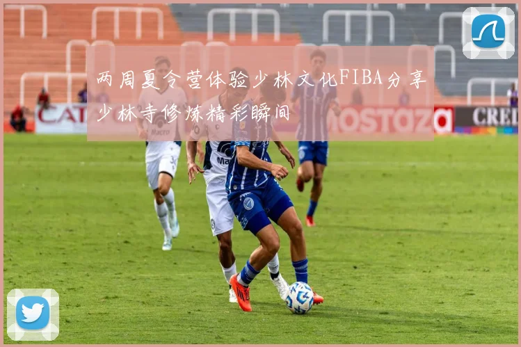 两周夏令营体验少林文化FIBA分享少林寺修炼精彩瞬间
