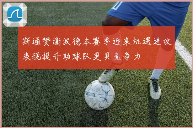 斯通赞谢泼德本赛季迎来机遇进攻表现提升助球队更具竞争力